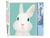 Peinture par Numéro Figured'Art - Lapin blanc - Kit de Loisir Créatif DIY Numéro d'Art Complet - 40x50cm sans châssis en bois