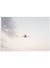 Poster Nature Avion | A3 : 29,7x42cm