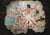 Puzzle 1000 pièces - Egypte Ancienne - DToys