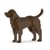 Chien Labrador Retriever marron Taille standard | JEKCA | 14 ans et +