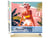 Peinture par Numéro Figured'Art - Balade estivale - Kit de Loisir Créatif DIY Numéro d'Art Complet - 40x50cm toile roulée + châssis en bois à monter