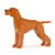 Vizsla hongrois 01 Taille standard | JEKCA | 14 ans et +