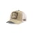 Casquette Looney Tunes Coyote - Capslab