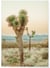 Poster Nature Desert 4 | A3 : 29,7x42cm