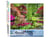 Peinture par Numéro Figured'Art - Parc fleuri - Kit de Loisir Créatif DIY Numéro d'Art Complet - 40x50cm sans châssis en bois