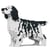 Chien Setter Anglais taches noires Taille standard | JEKCA | 14 ans et +