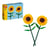 40524 Tournesols ® Botanicals