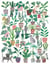Chats et Plantes