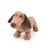 Edward le teckel en peluche 19 cm