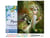 Peinture par Numéro Figured'Art avec Cadre - Féé dorée - Kit de Loisir Créatif DIY Numéro d'Art Complet - 40x50cm toile tendue sur châssis
