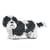 Chien Shih Tzu taches noires Taille standard | JEKCA | 14 ans et +