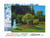 Peinture par Numéro Figured'Art avec Cadre - Dame en blanc au jardin - Monet - Kit de Loisir Créatif Numéro d'Art - 40x50cm toile tendue sur châssis
