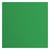 Papier cartonné Florence - Holly - 20 feuilles - 30,5 x 30,5 cm - 216 g/m²