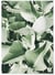 Poster Nature plante verte 2 | A3 : 29,7x42cm