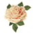 Ecusson thermocollant rose avec feuilles 4 cm x 5 cm