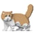 Chat Exotic Shorthair beige | JEKCA | 14 ans et +