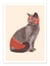 Affiche - Chat catcheur - Florent Bodart
