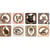 4 puzzles progressifs animaux de la foret 16 - 20 - 24 - 30 pieces - janod - j02823