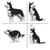 Chien Husky (4 en 1) noir Taille standard | JEKCA | 14 ans et +