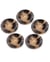 Lot de 5 boutons Corne Brillant