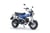 Honda Dax125 LIMITED EDITION