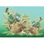 Tapis de souris Hérissons 27 x 19 cm