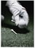 Affiche Golf 4 | A3 : 29,7x42cm