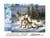Peinture par Numéro Figured'Art avec Cadre - Couple de loups - Kit de Loisir Créatif DIY Numéro d'Art Complet - 40x50cm toile tendue sur châssis