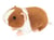 peluche Cobaye brun-clair/blanc 19 cm - Hermann Teddy Original