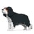 Chien Cavalier King Charles Spaniel noir Taille standard | JEKCA | 14 ans et +