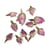 Fleurs - Boutons de roses rose complets, 7g