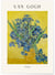 Affiche Van Gogh - Irises | A3 : 29,7x42cm