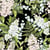 Lot de 4 serviettes en papier découpage collage 33 cm FLEUR LILAS FEUILLAGE F 4002