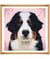 Kit de Point de Croix Comptée – Woof – 36 x 36 cm - Trimits Multicolore