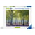 Puzzle 1000 pièces Forêt de bouleaux