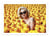 Affiche 30 x 40 cm - Duck bath - Alexandre Granger