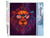 Peinture par Numéro Figured'Art - Lion à lunettes - Kit de Loisir Créatif DIY Numéro d'Art Complet - 40x50cm sans châssis en bois