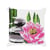 LUC - Kit coussin demi-point Lotus