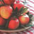 Lot de 4 serviettes en papier découpage collage 33 cm FRUIT POMME