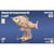Quay - Maquette en bois Poisson (carpe)