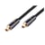 Avizar Câble Audio Optique en Nylon Tressé avec Connecteurs Plaqués Or 2m Noir