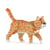Mini Chat Tigré roux Taille standard | JEKCA | 14 ans et +