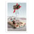 Affiche 30x40 cm - California Princess - Jonas Loose