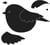 Matrices de découpe oiseau  - Artemio