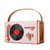 Mini Enceinte Bluetooth Rose Rétro 5 Modes Son 360° Autonomie 12h Waterproof YONIS