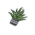 Ecusson thermocollant cactus en pot gris 4,5cm x 4cm