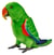 Peluche perruche eclectus vert et bleu 19cm - Anima