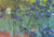 Puzzle 1000 pièces - Classiquecent Van Gogh - Saint-Remy - Les Iris, 1889 - Grafika