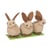 Lapins duveteux, 5cm, assorti, Boîte PVC 3pces