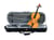 DIMAVERY Violon intermédiaire 4/4